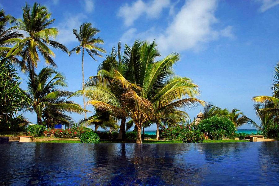 The Palms, Zanzibar