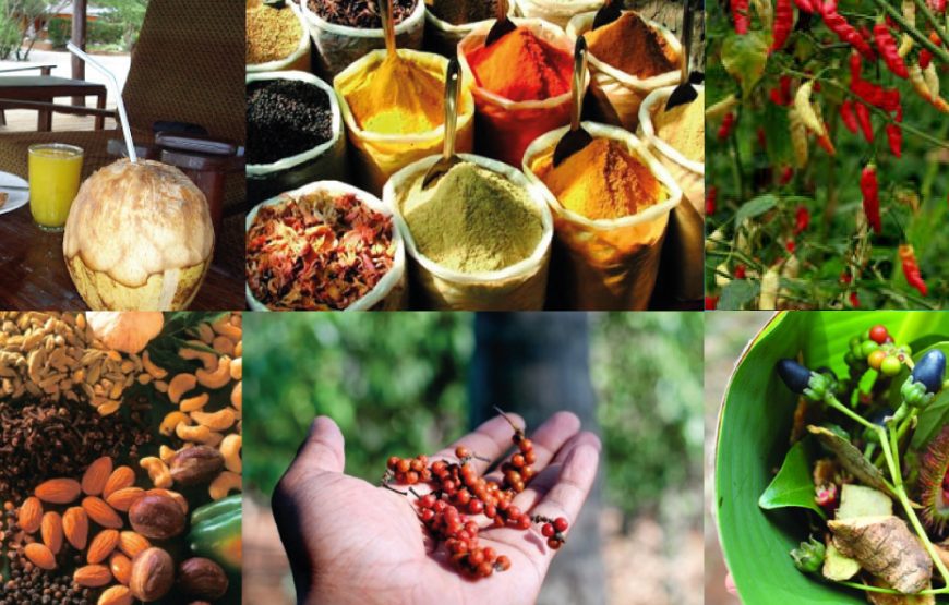 Spice Farm