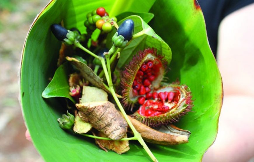 Spice Farm