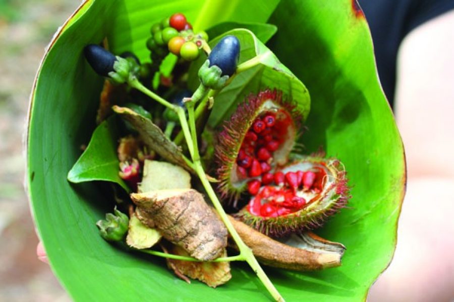 Spice Farm