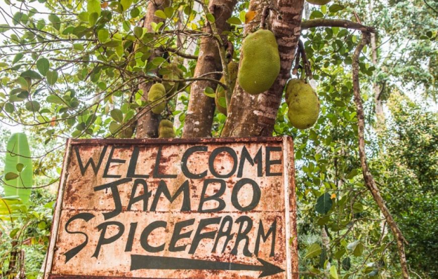 Spice Farm