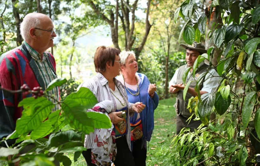 Spice Farm