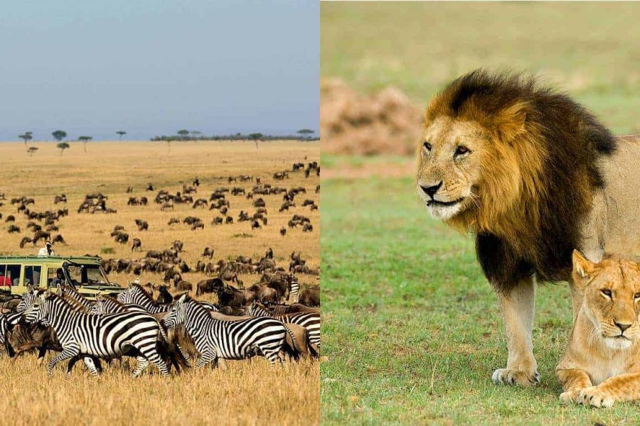 Serengeti National Park