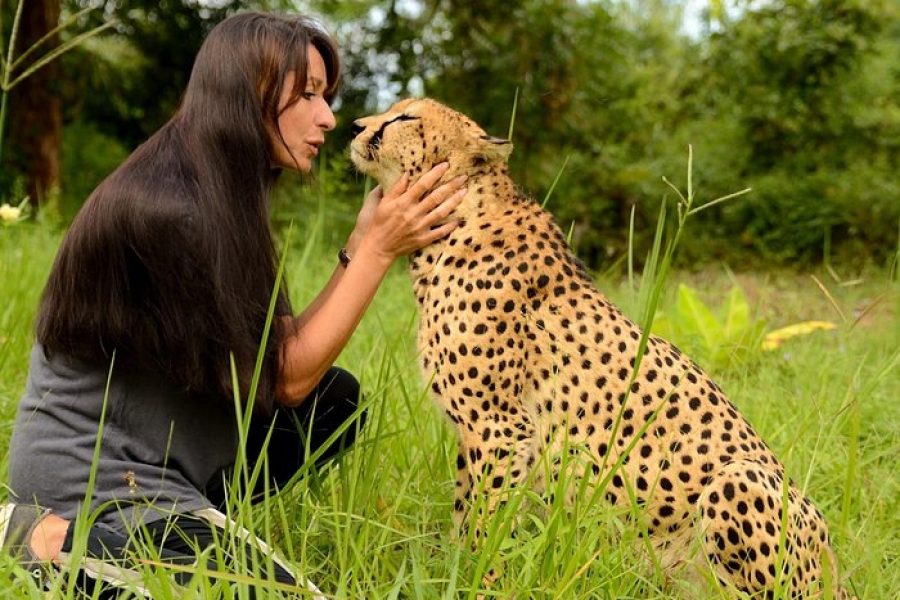 Zanzibar Cheetah’s rock